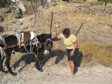 2004 Lesbos 100_0005_478